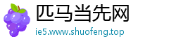 匹马当先网